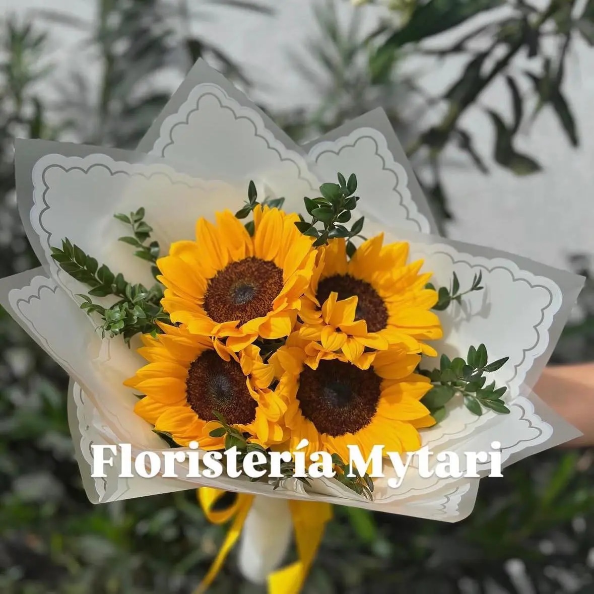 Girasol 🌻