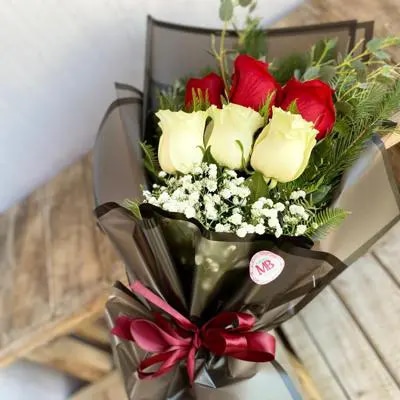 ROSAS   EN BICOLOR