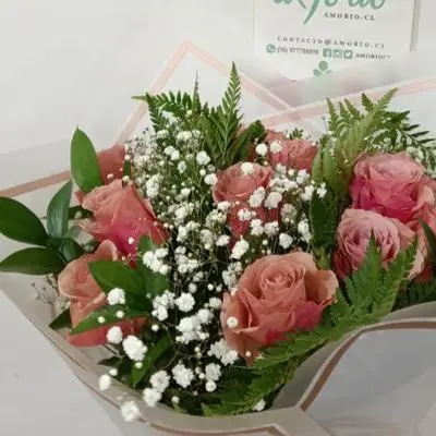 6 rosas
