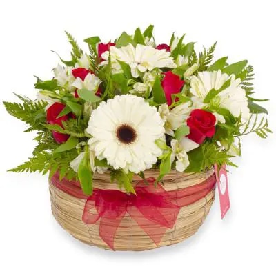 Luz Rosas Rojas
