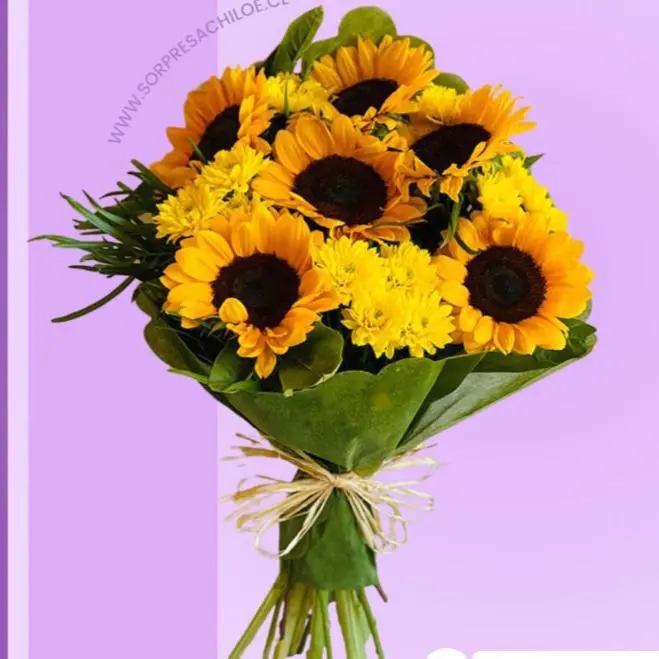 Ramo Girasoles