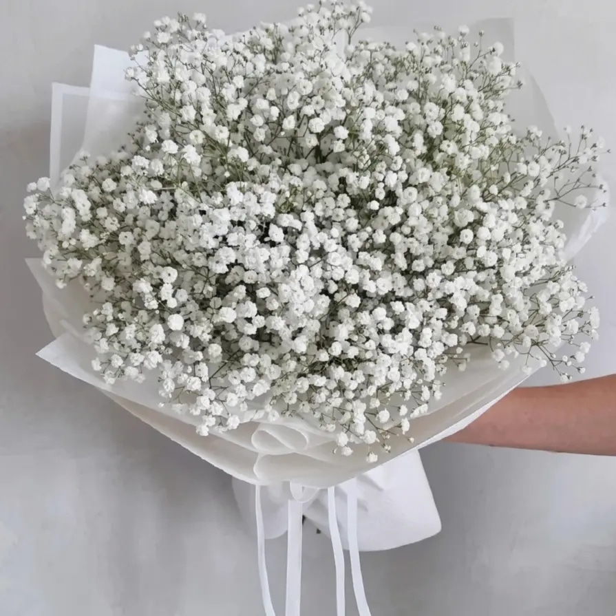 Ramo de gypsophilia