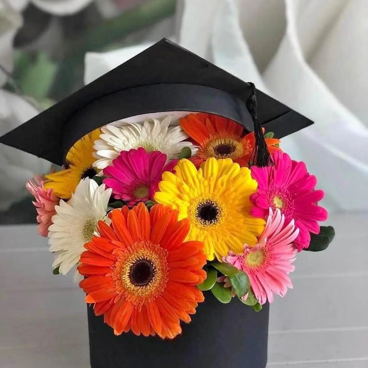 Box gerberas graduación