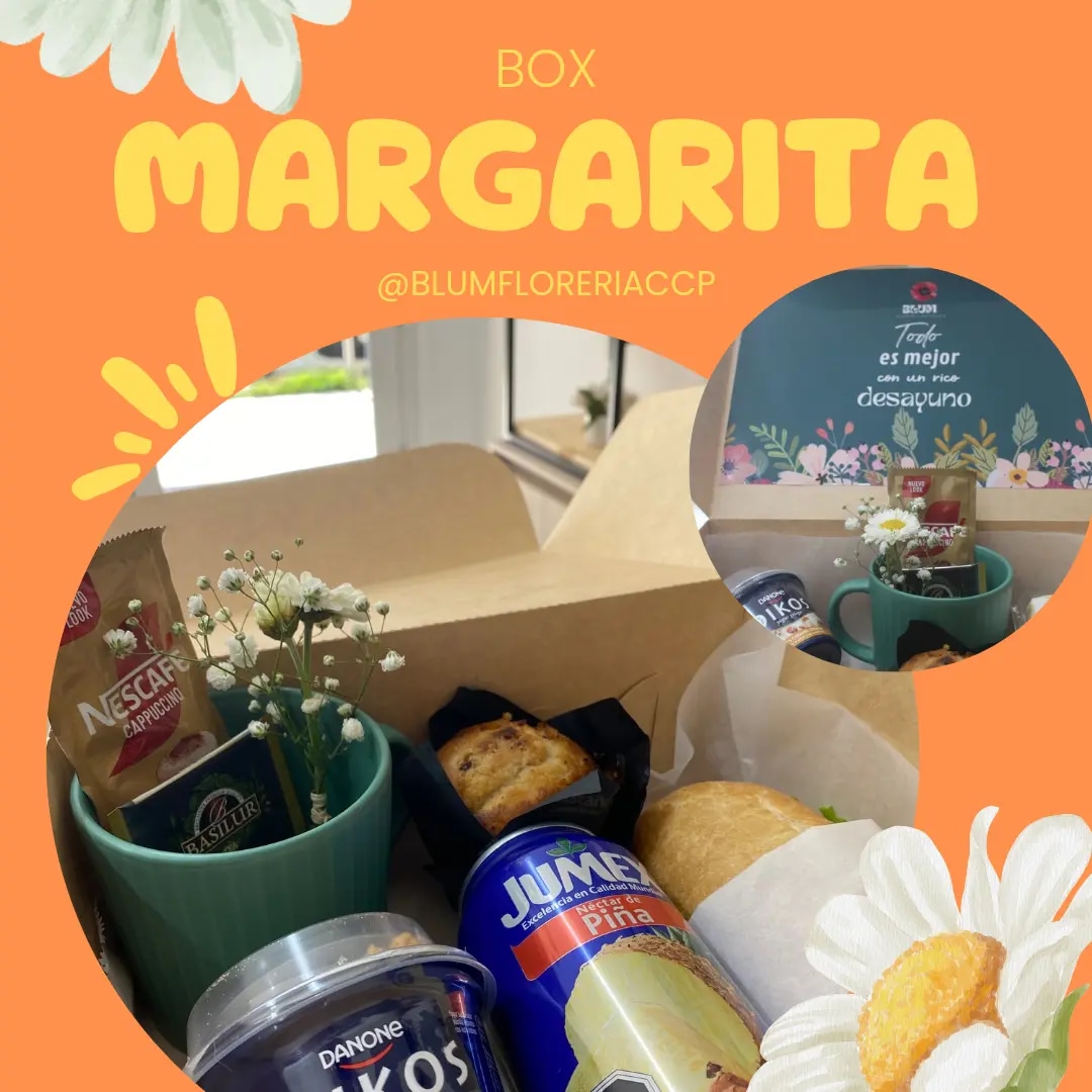 Desayuno- Box Margarita