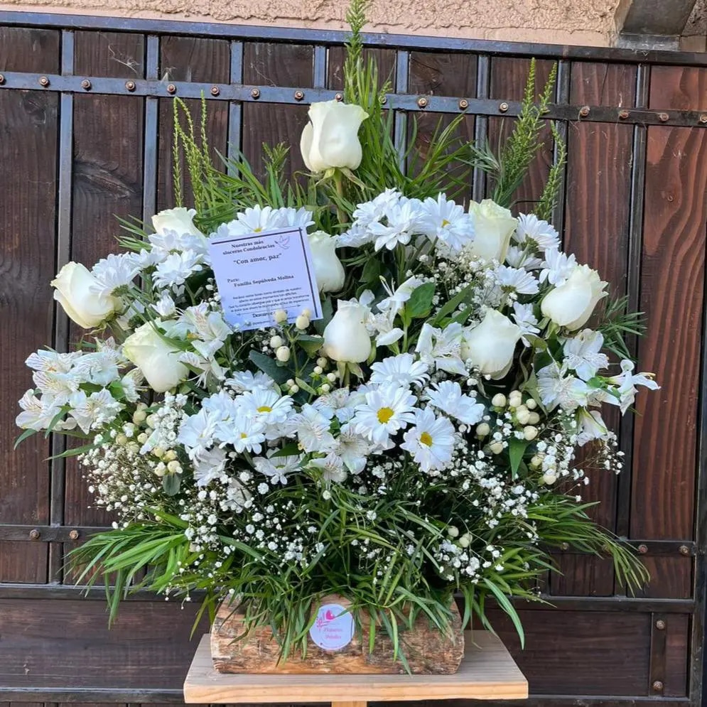 Abrazo en Flores - Arreglo mediano en tronco grande
