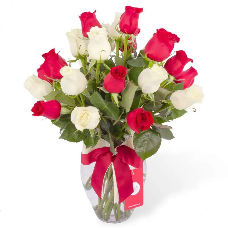 Amparo - florero ánfora con mix de 24 rosas blancas y rojas
