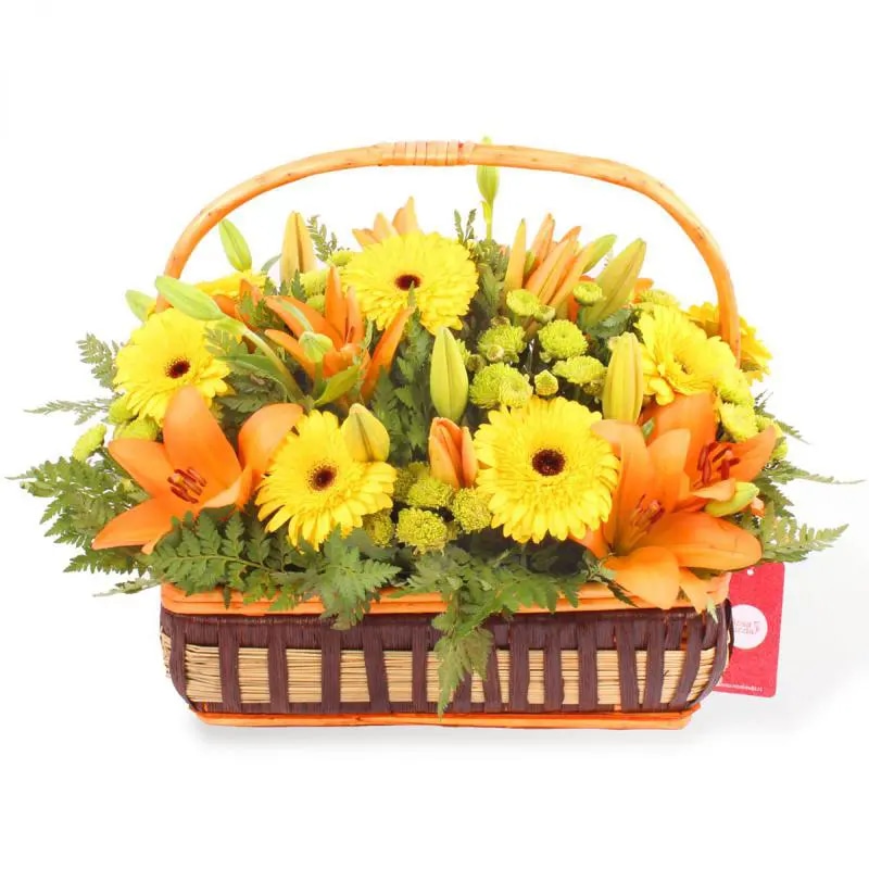 Canasto Yellow - Arreglo floral en canasto de mimbre con gerberas amarillas, liliums naranjos y maules amarillos