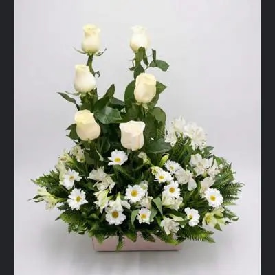 Deco Codolencias
