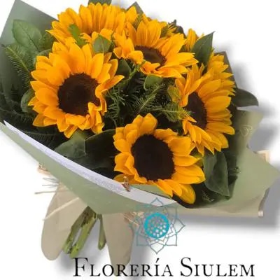 Detalle de Girasoles
