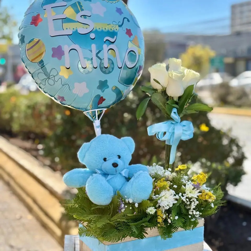 Bienvenido pequeño príncipe