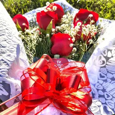 Ramo de 6 rosas rojas moña roja