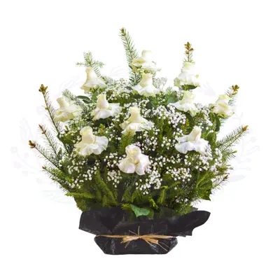 Base 12 Rosas Blancas Condolencias Premium