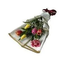 Ramo 6 Tulipanes Mix