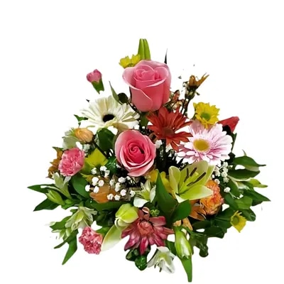 Felicidad - Centro de Flores Primaverales