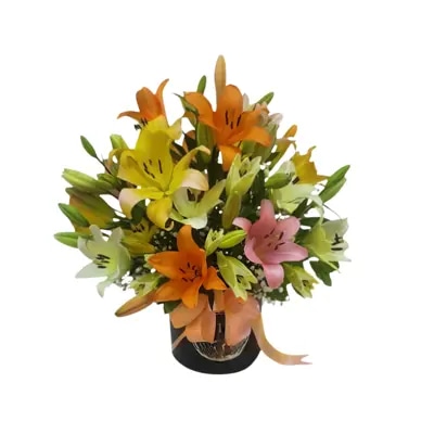 Tradición - Caja Tambor Con Lililiums colores variados