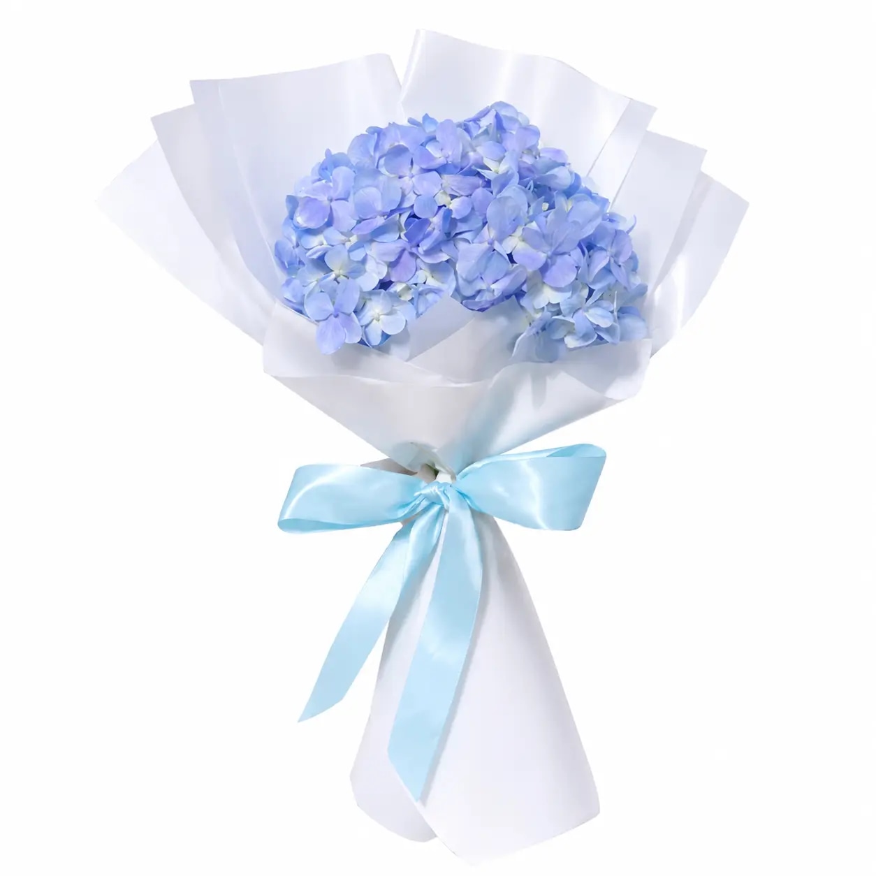 Hortensia arreglada